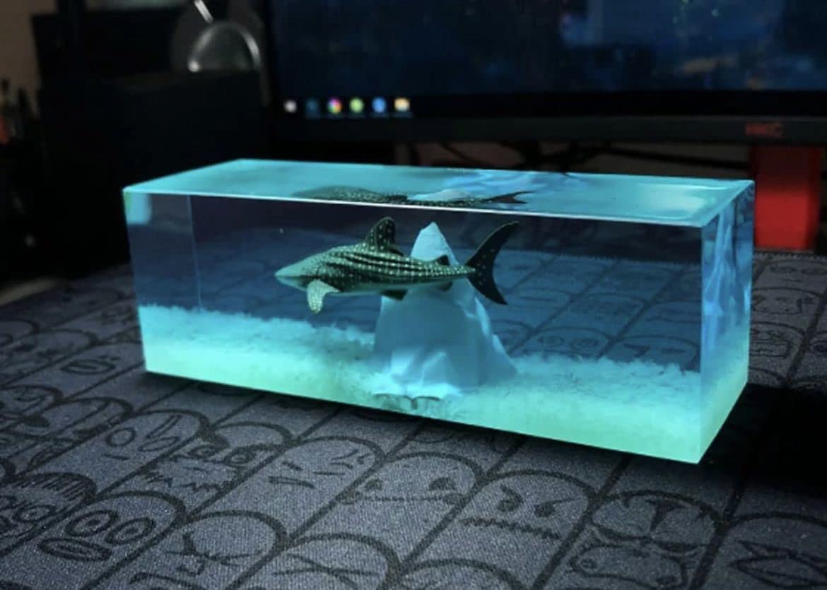 Amazon.co.jp: 手作り ジンベイザメ サメ 鮫 シャーク